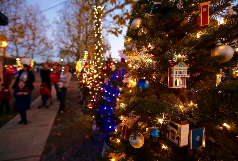 The Charlie Brown Tree Grove has 184 holiday trees on display at the Windsor Town Green. Crista Jeremiason