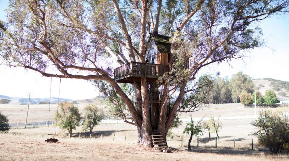 Located in a eucalyptus grove a stone’s throw from Petaluma, this treehouse is nestled securely in a multi-trunked 110-foot tree.