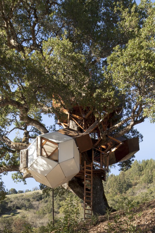 Dustin Feider's treehouse in Healdsburg. (Photo courtesy