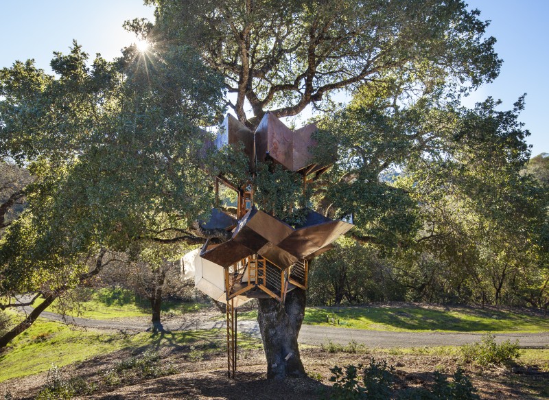 Dustin Feider's Healdsburg treehouse. (Photo courtesy O2 Treehouse)