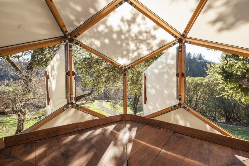 View from the Healdsburg treehouse.