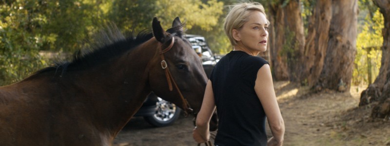 Sharon Stone in "Running Wild."
