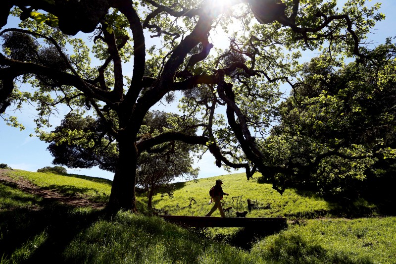 Peri Olsson of Santa Rosa takes her dog Teddy on a walk at Taylor Mountain Regional Park and Open Space Preserve in Santa Rosa, California on Wednesday, March 23, 2016. (Alvin Jornada / The Press Democrat) Santa Rosa ranked one of the best places to live