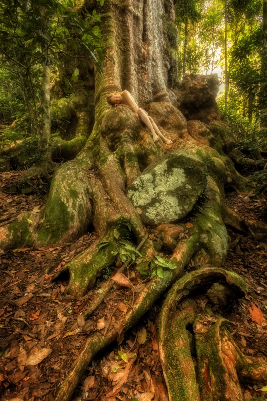 Julianne Skai Arbor poses with a Brush Box Hermitage Tree in Australia (Photo Courtesy of TreeGirl) 