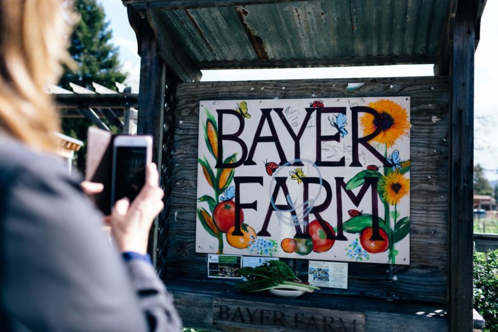 Get Your Hands Dirty For A Worthy Cause At Santa Rosa Community Farm Sonoma Santa Rosa Community Farm Sonoma, Urban Tree Farm Santa Rosa Ca