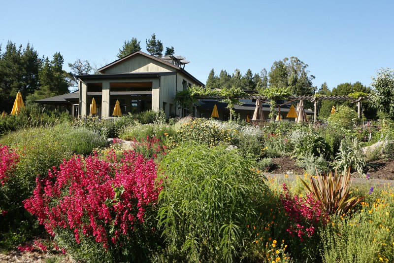 Lynmar Estate Winery and it's various vegetable and flower gardens make for a pleasant picnic lunch on Wednesday, May 29, 2013. (Conner Jay/The Press Democrat)