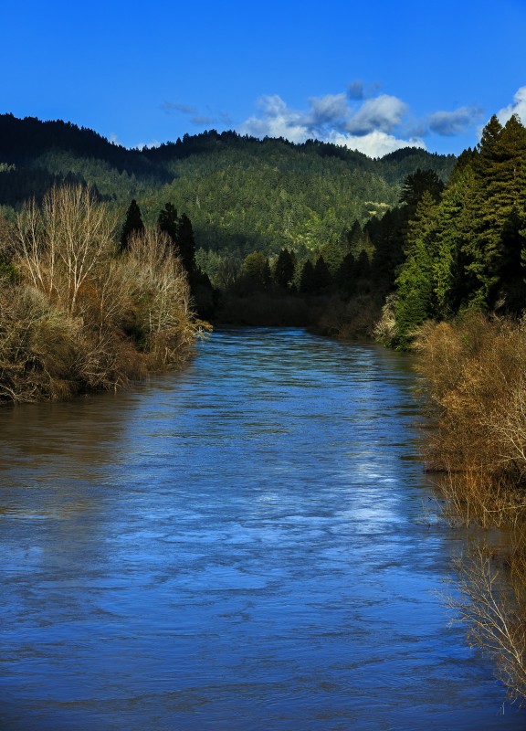 The Russian River. (Chris Hardy)