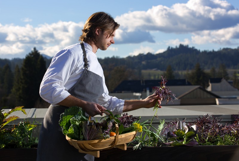 Chef de cuisine Aaron Koseba harvests purple frill mustard greens form th restaurants rooftop garden.