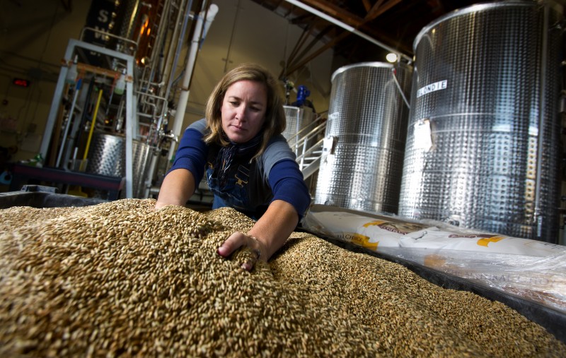 Distiller Ashby Marshall, measures out whole grains before creating the mash for the gin, whiskey and vodka produced at the Spirit Works distillery in Sebastopol. (photo by John Burgess