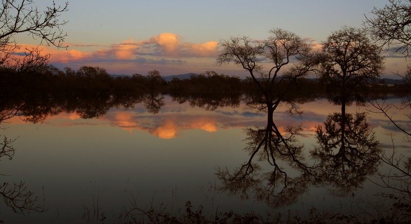 Laguna de Santa Rosa. (Kent Porter)