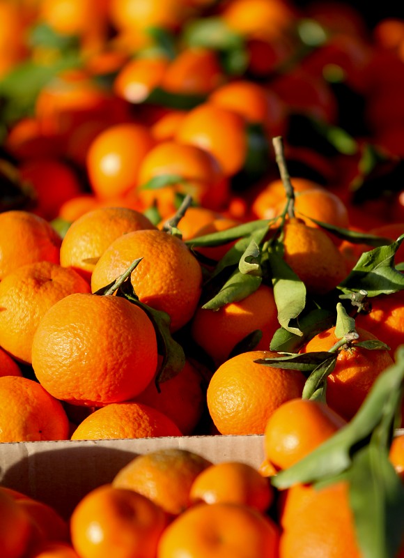 Mandarin oranges at the Santa Rosa Farmers Market, Saturday Feb. 4, 2012 in the parking lot of the Santa Rosa Veterans Memorial Hall. (Kent Porter 