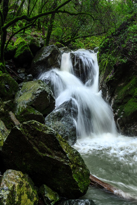 Sonoma Creek Falls. (Chris Hardy)