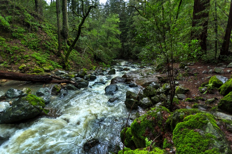 Sonoma Creek Falls. (Chris Hardy)