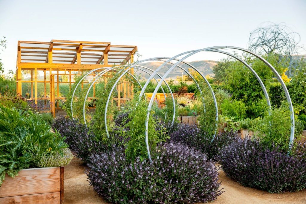 Weekend Getaway 15 Things To Do In Sonoma Sonoma Magazine
