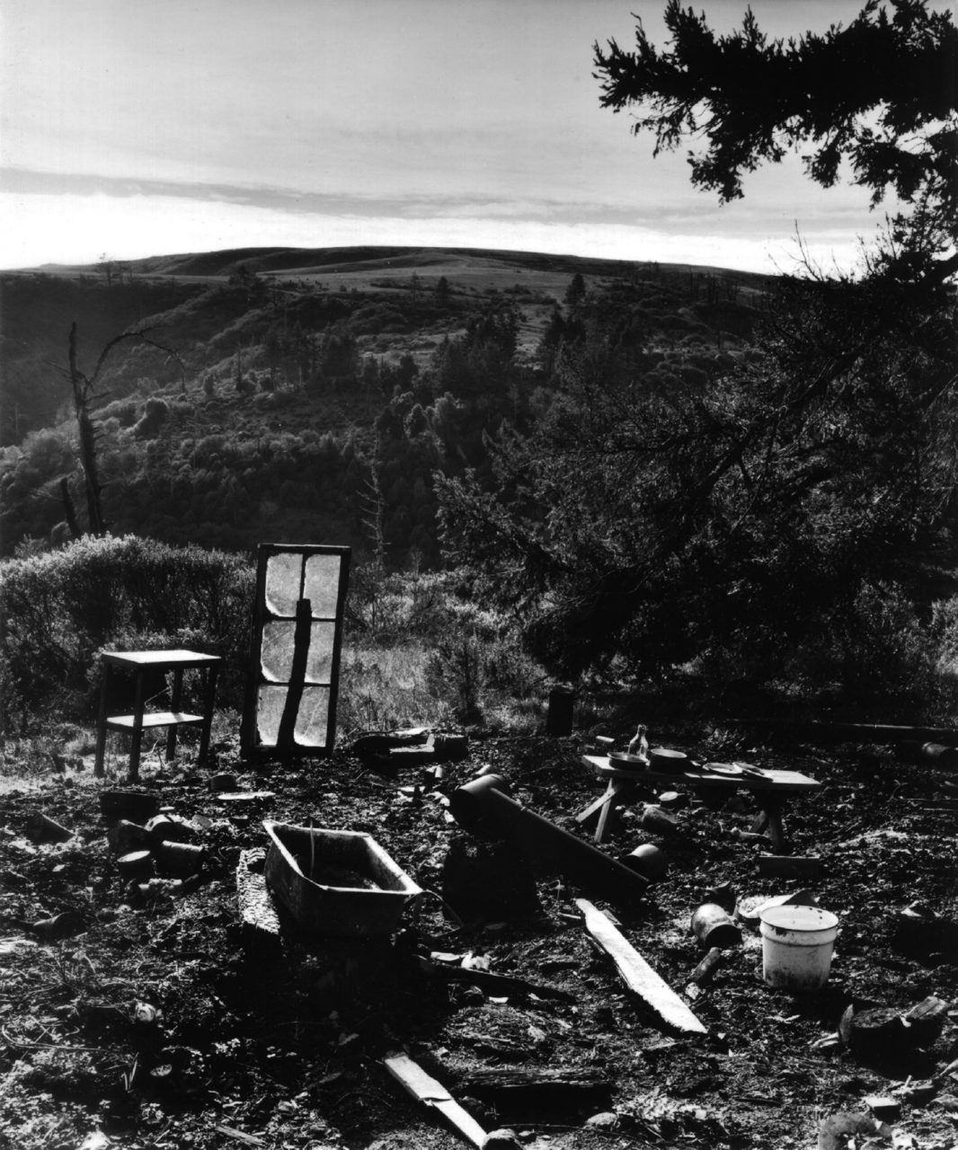 Remains of a Wheeler Ranch dwelling after the fire of May 20. (Photo by Pieter Myers)