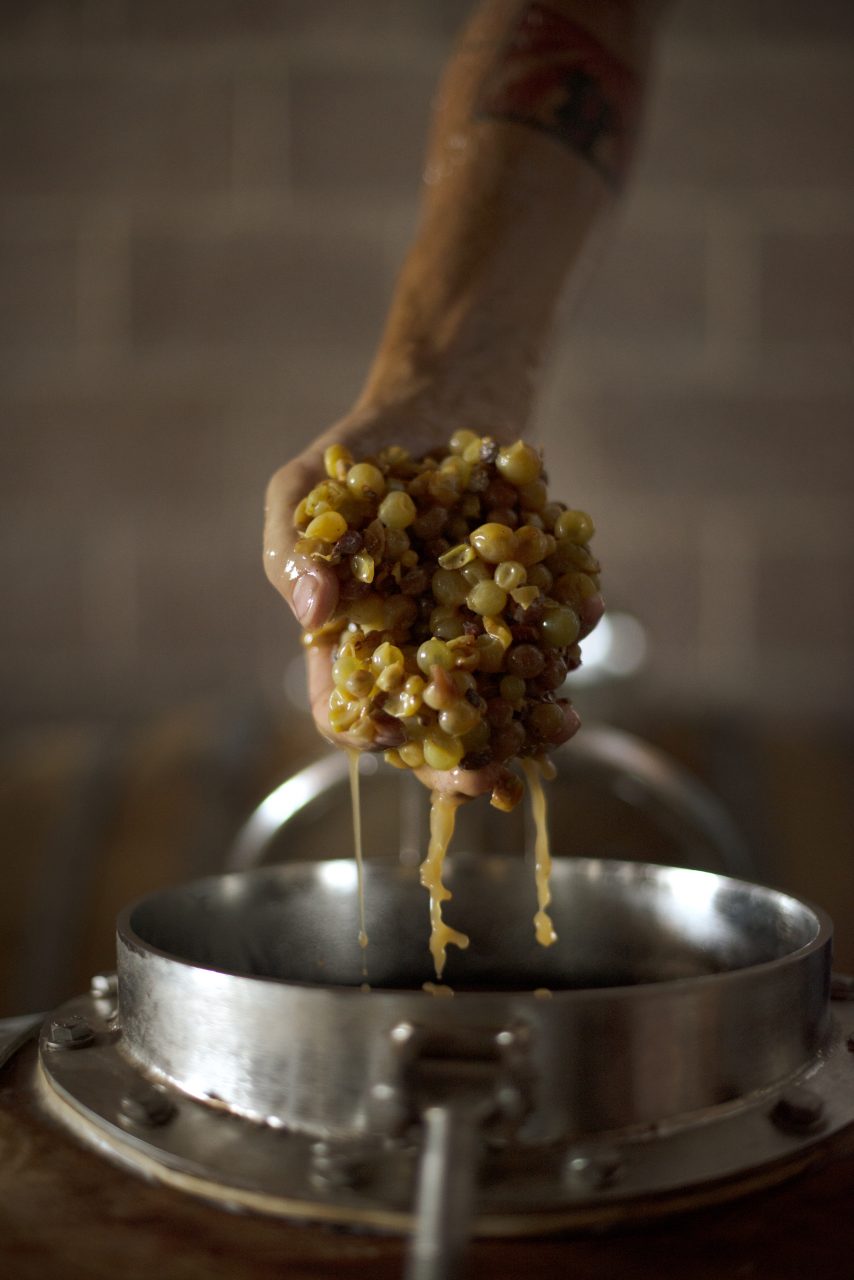 Fermenting Cortese grapes are pulled from a barrel at Idlewild Wines. (Erik Castro/for Sonoma Magazine) 