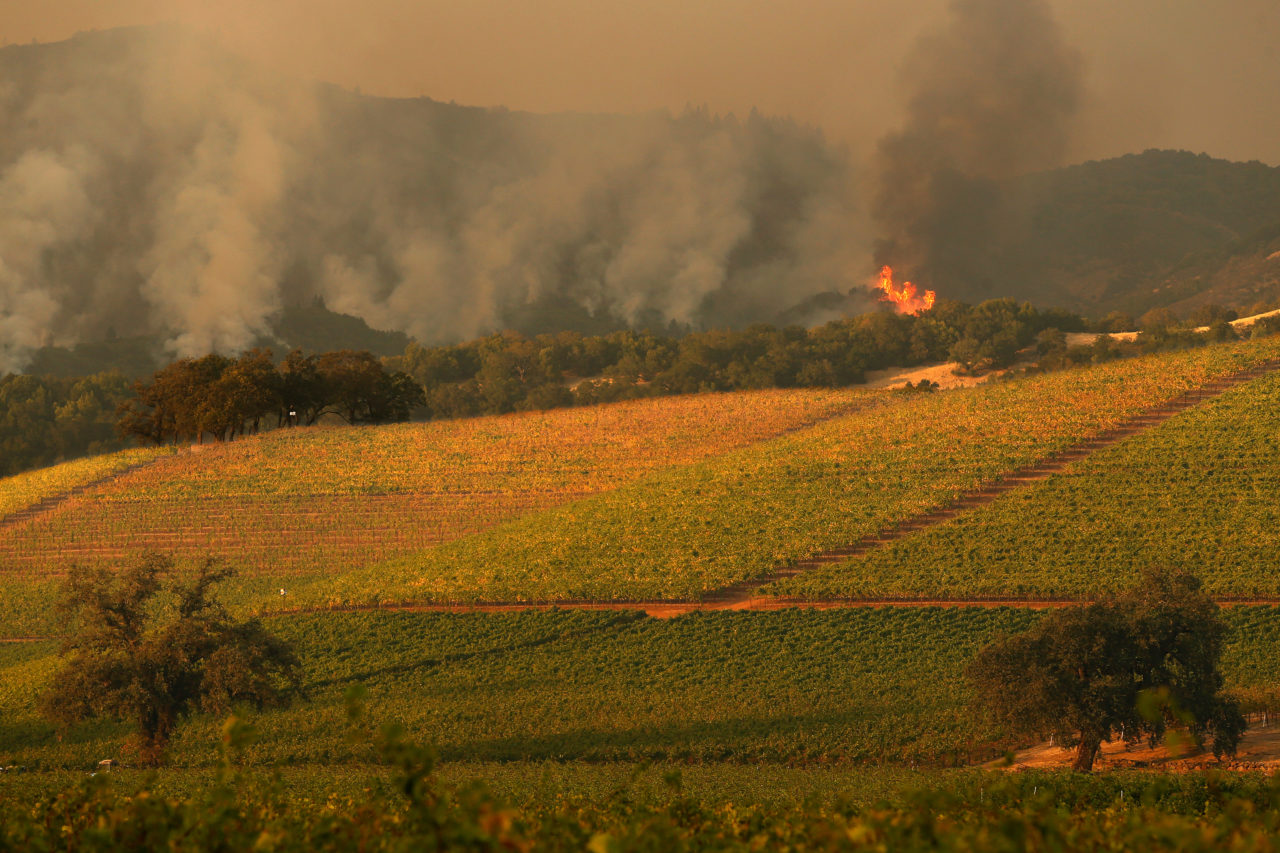 Flames descend a hillside above Kenwood, California, with the vineyards of Kunde Family Winery in the foreground, on Tuesday evening, October 10, 2017. (Photo by Alvin Jornada)
