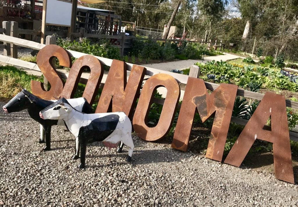 Sonoma Style: Home Design Stores to Check Out