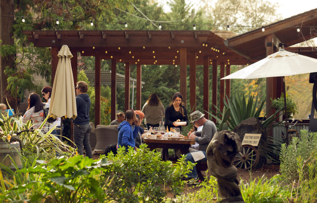 Russian River Vineyards 