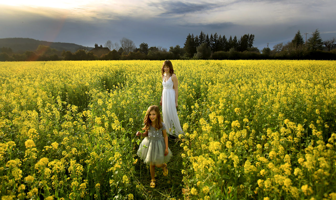 10 Sonoma County Spots For Pretty Mustard Field Photos Sonoma Magazine