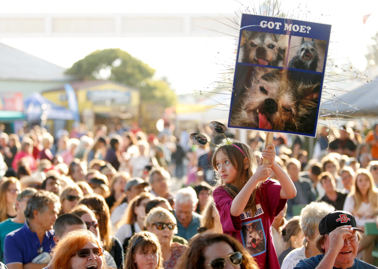 Naomi Perry, 8, of Santa Rosa holds up a sign in support of her family pet Moe, a Brussels Griffon-pug mix and a contestant in the World's Ugliest Dog contest at the Sonoma-Marin Fair in Petaluma, California on Friday, June 23, 2017. (Alvin Jornada / The Press Democrat)
