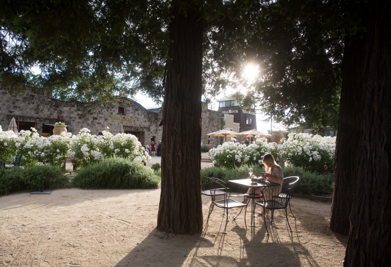 Alison Pfaff finds a quite moment during the gala celebration of Wine Road's 40th Ruby Anniversary held at Soda Rock Winery near Healdsburg, Calif. Saturday, May 14, 2016. Guests were invited to a night of dinner, dancing and fundraising.(Jeremy Portje / For The Press Democrat)