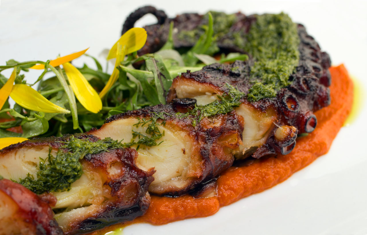 Sonoma Magazine-Eat Here Now. Grilled octopus with chickpea puree, fennel pesto, and onion flower from the Perch and Plow on Courthouse Square in Santa Rosa. (photo by John Burgess/The Press Democrat)