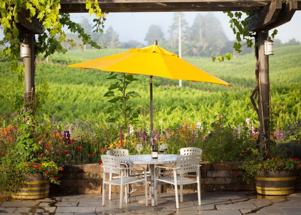 20 Ways to Upgrade Your Weekend in Wine Country
