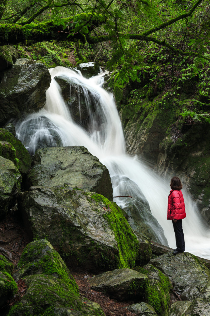 Waterfall story Sonoma Falls in Sugarloaf Ridge State Park