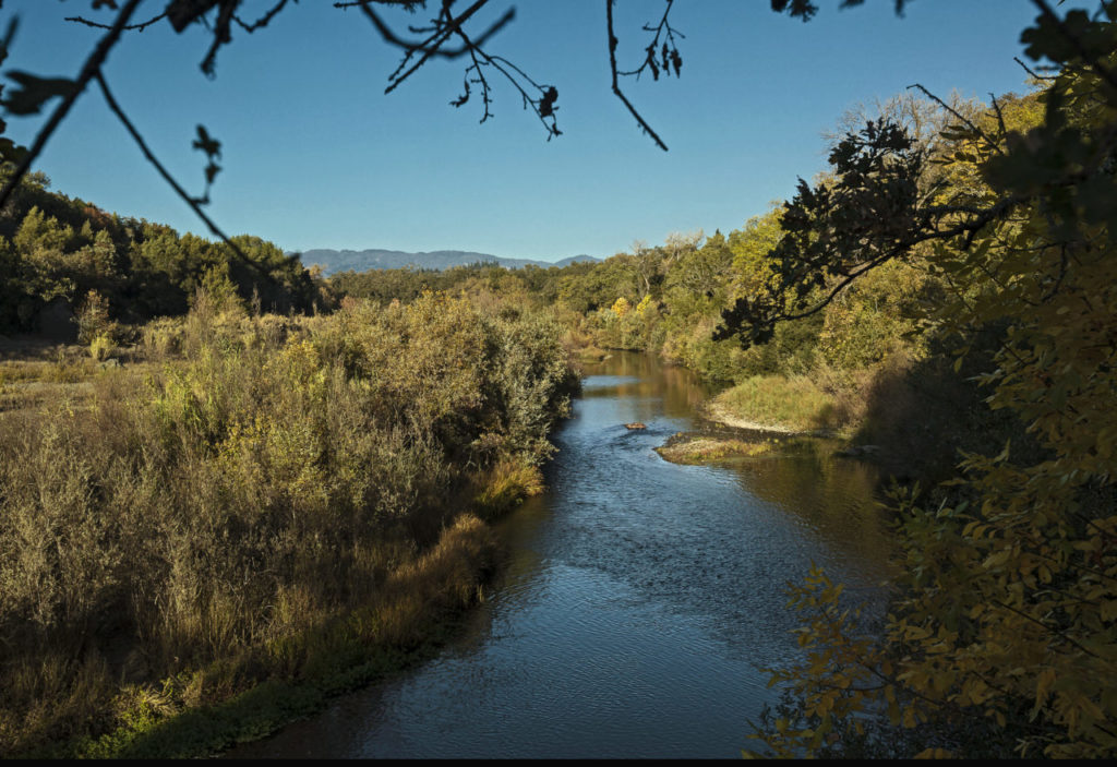 A Watershed Moment: Advocates Join Forces to Save the Russian River
