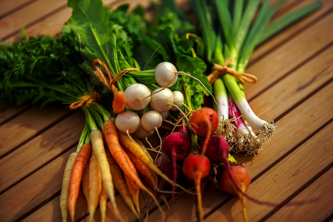 Tucker Taylor and vegetable garden at Kendall-Jackson vineyardTucker Taylor Director of Culinary Gardens and vegetable garden at Kendall-Jackson vineyard rainbow carrots Tokyo turnips baby beets green garlic