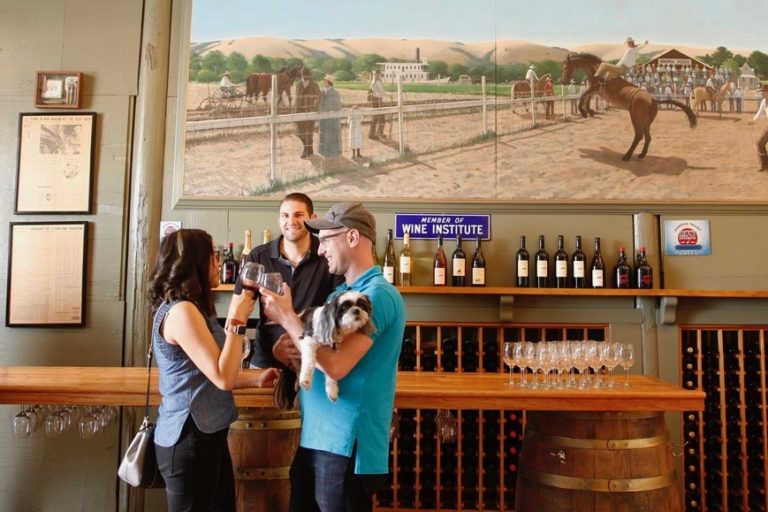 18 Best DogFriendly Wineries in Sonoma County Sonoma Magazine