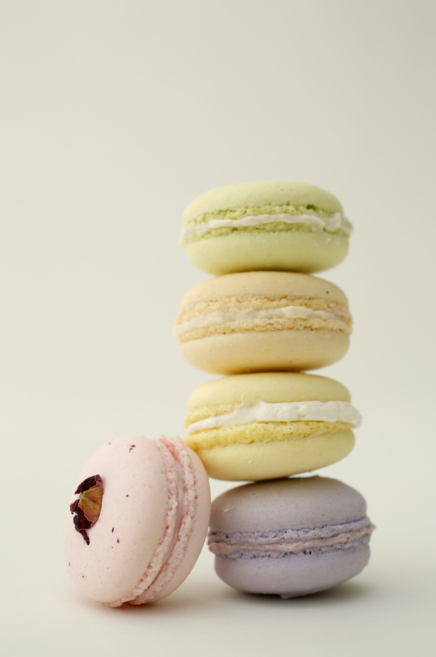 Macaron flavors by Patisserie Angelica include rose, pistachio, salted caramel, Meyer lemon, and blackberry in Sebastopol, on Thursday, May 1, 2014. (BETH SCHLANKER/ The Press Democrat)