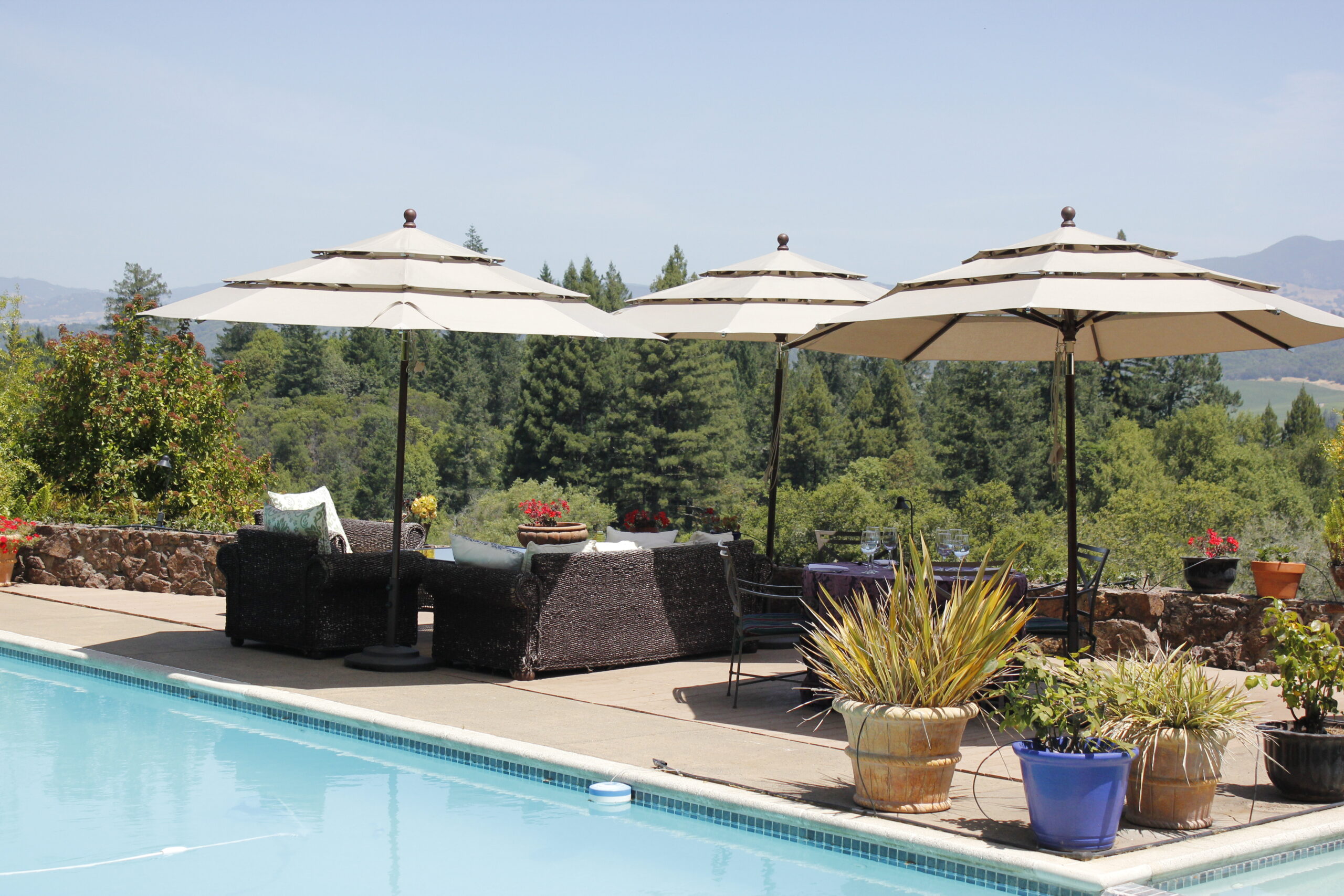 The pool at Pezzi King in Healdsburg.