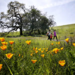 One Sonoma Hike for Each Month of 2023