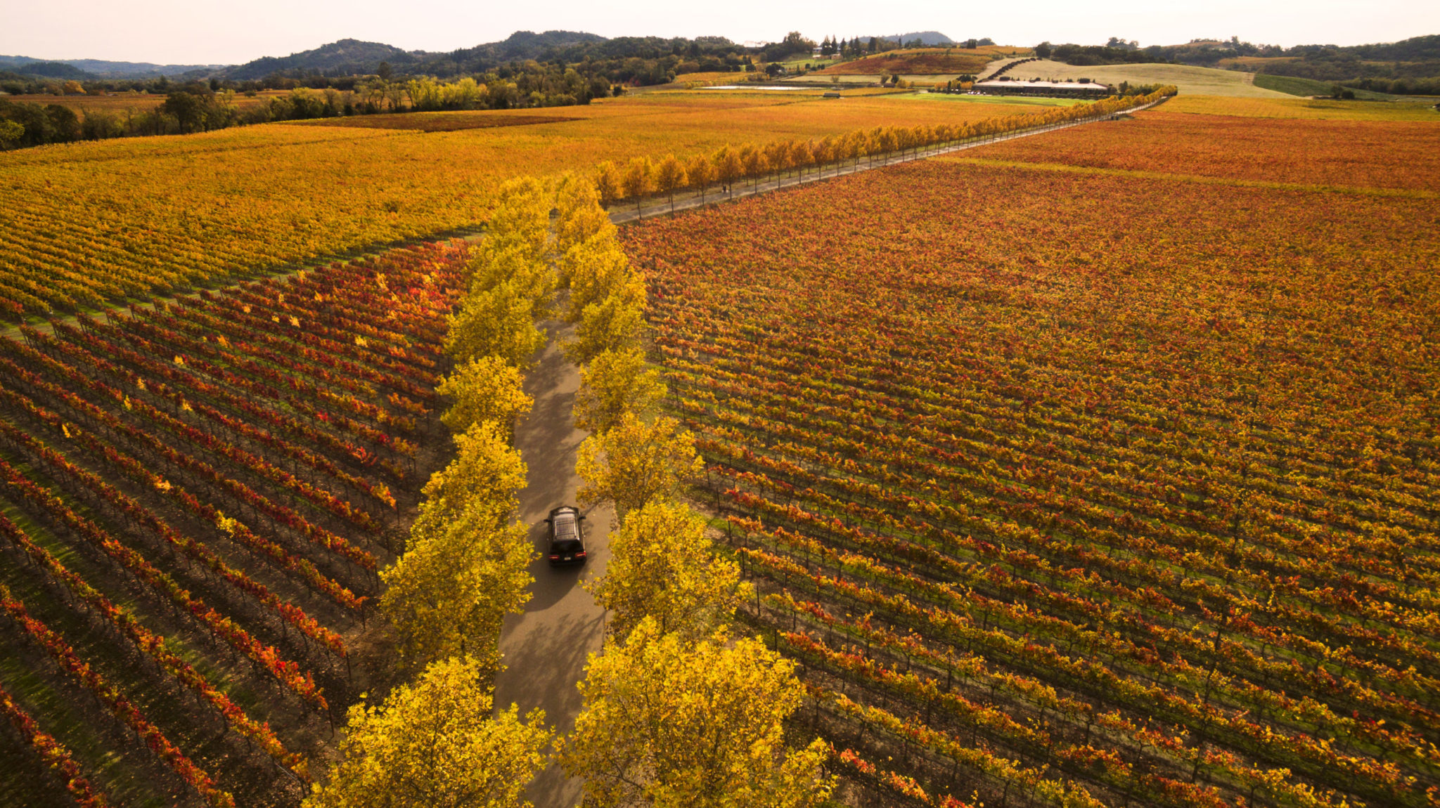 Holiday Guests Coming? 4 Perfect Sonoma County Day Trips - Sonoma Magazine