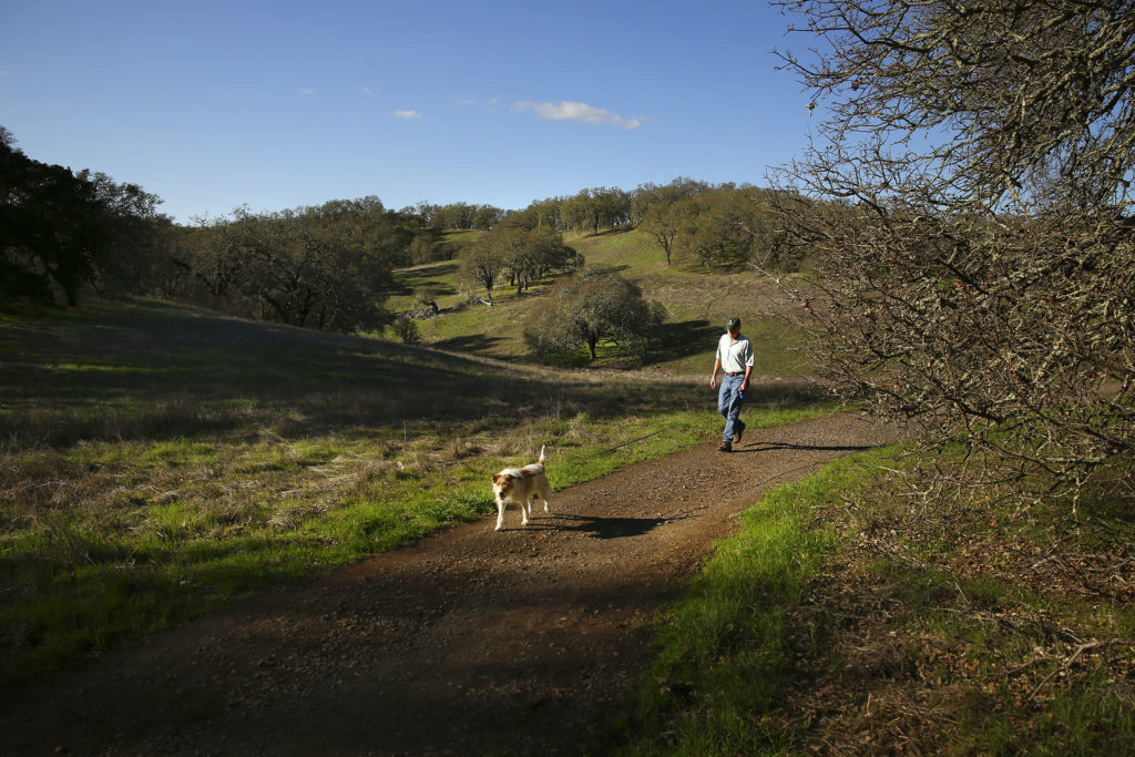 3/23/2014: D1: PC: John Schwonke and his dog Gus begin their hike towards Suttonfield Lake in Sonoma Valley Regional Park on Monday, March 10, 2014. Almost all Sonoma County Regional Parks welcome dogs on leashes making them ideal places to visit with canine companions. (Conner Jay/The Press Democrat)
