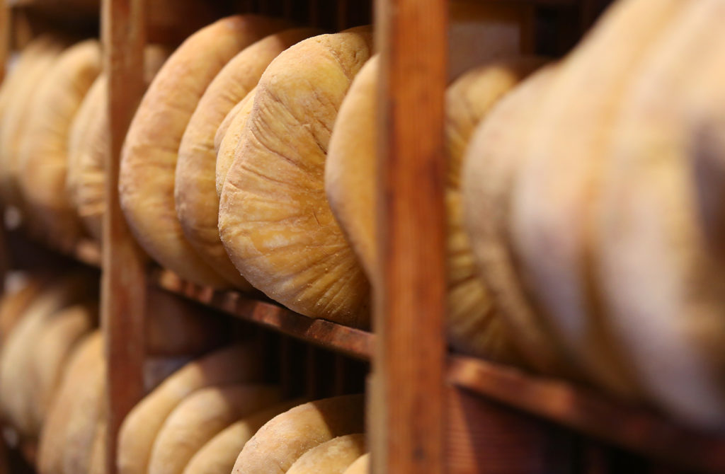 3/19/2014: D3: Wheels of goat cheese rest in the Achadinha Cheese Co. aging room on the Pacheco Ranch near Petaluma. The cheese company will be a stop on two festival tours Friday. PC: Wheels of goat cheese in the Achadinha Cheese Company aging room on the Pacheco Ranch, near Petaluma on Friday, March 7, 2014. (Christopher Chung/ The Press Democrat)