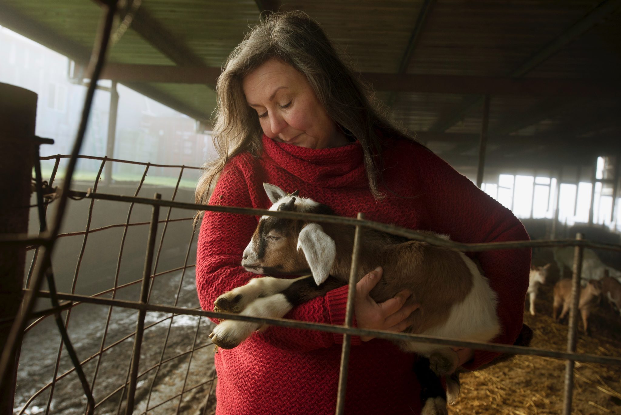 Donna Pacheco with one of her newborn Nubian goats at Achadinha Cheese Company in Petaluma. January 26, 2017. (Photo: Erik Castro/for Sonoma Magazine)