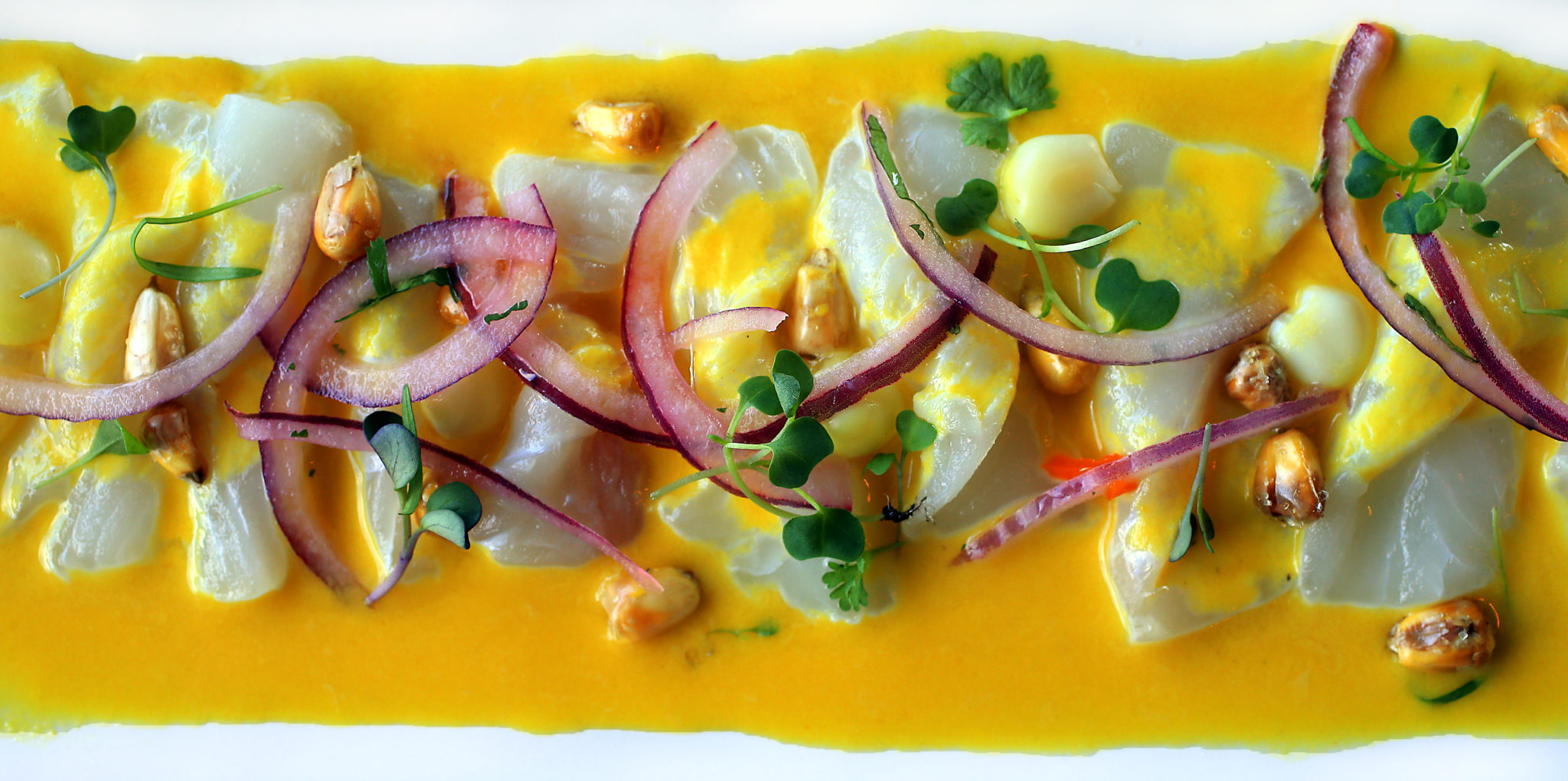 Ceviche de Tiradito, a halibut ceviche sashimi-style with a house made Leche de Tigre aji Amarillo sauce served with sweet potato and Cuzco corn from chef/owner Jose Navarro of Sazon Peruvian Cuisine in Santa Rosa. (John Burgess/The Press Democrat)