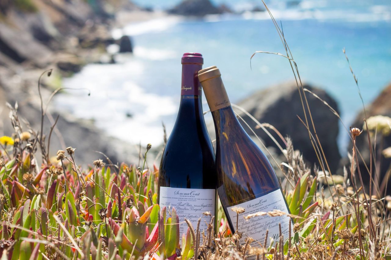 Sonoma Coast Vineyards 