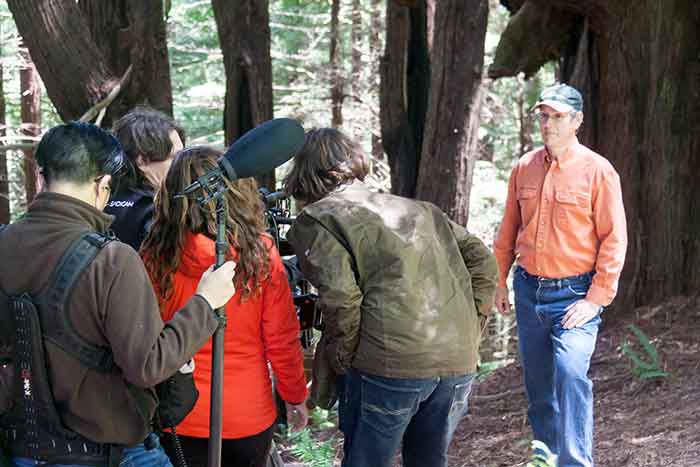 Linwood Gill, RFFI chief forester, being filmed by the Tree Media film crew for "Ice on Fire" in Usal Redwood Forest. (Jeff Becker)
