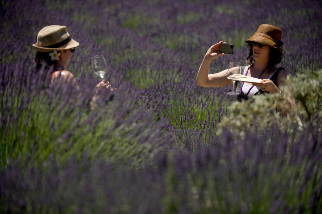 How to Do a Girls Getaway in Sonoma a la Amy Poehler's ...