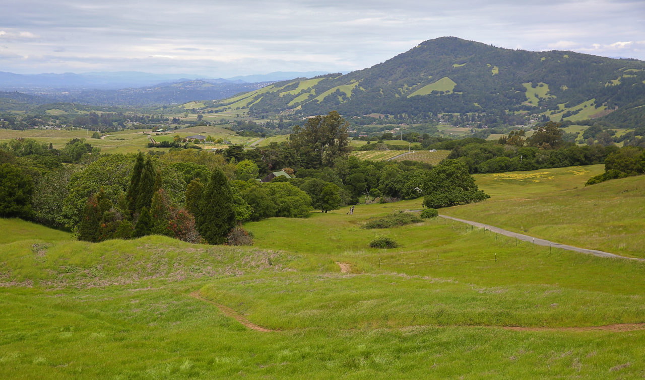 The North Sonoma Mountain Trail winds through North Sonoma Mountain Regional Park and Open Space Preserve, with a view of Bennett Valley, in Santa Rosa on Tuesday, April 25, 2017. (Christopher Chung/ The Press Democrat)