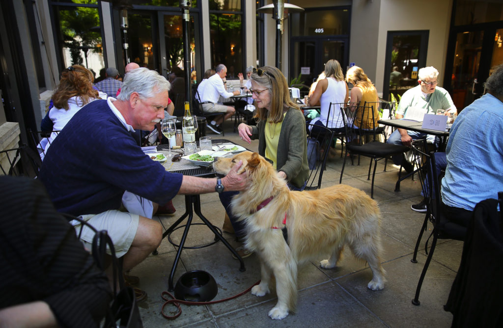 Pups On The Patio 25 Dog Friendly Restaurants In Sonoma County - Dog Safe Patio Furniture