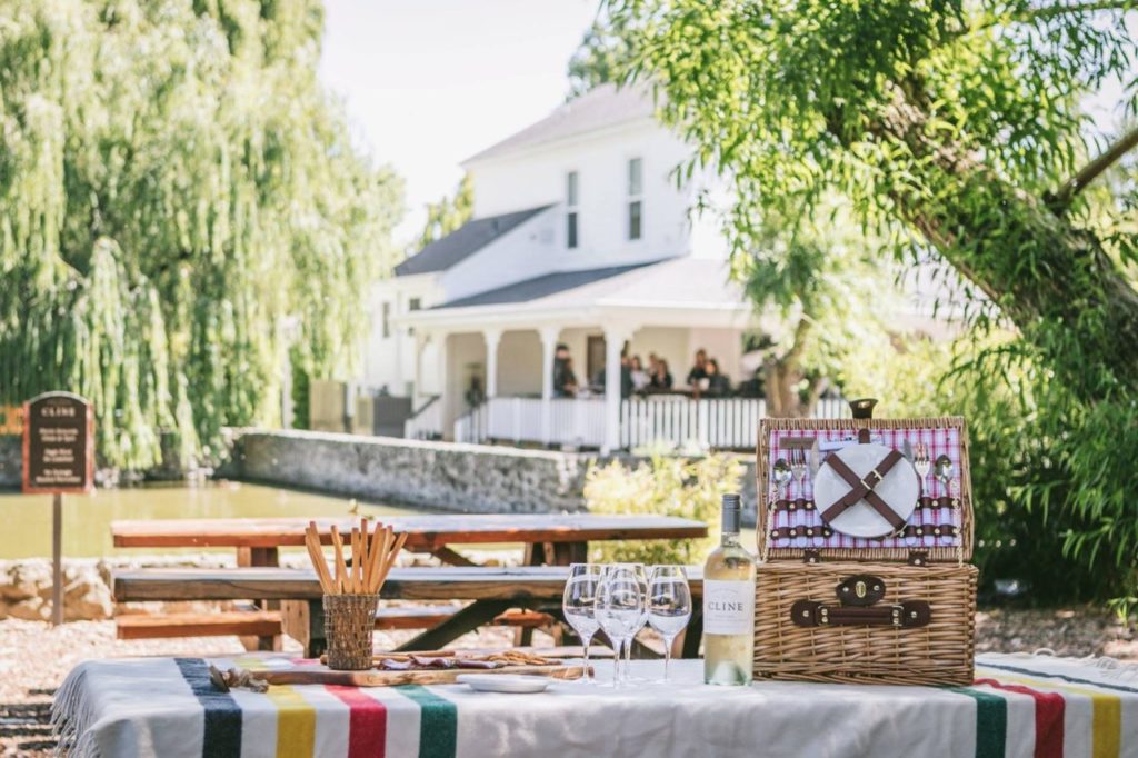 Picnic at Cline Family Cellars in Sonoma. (Cline Family Cellars)