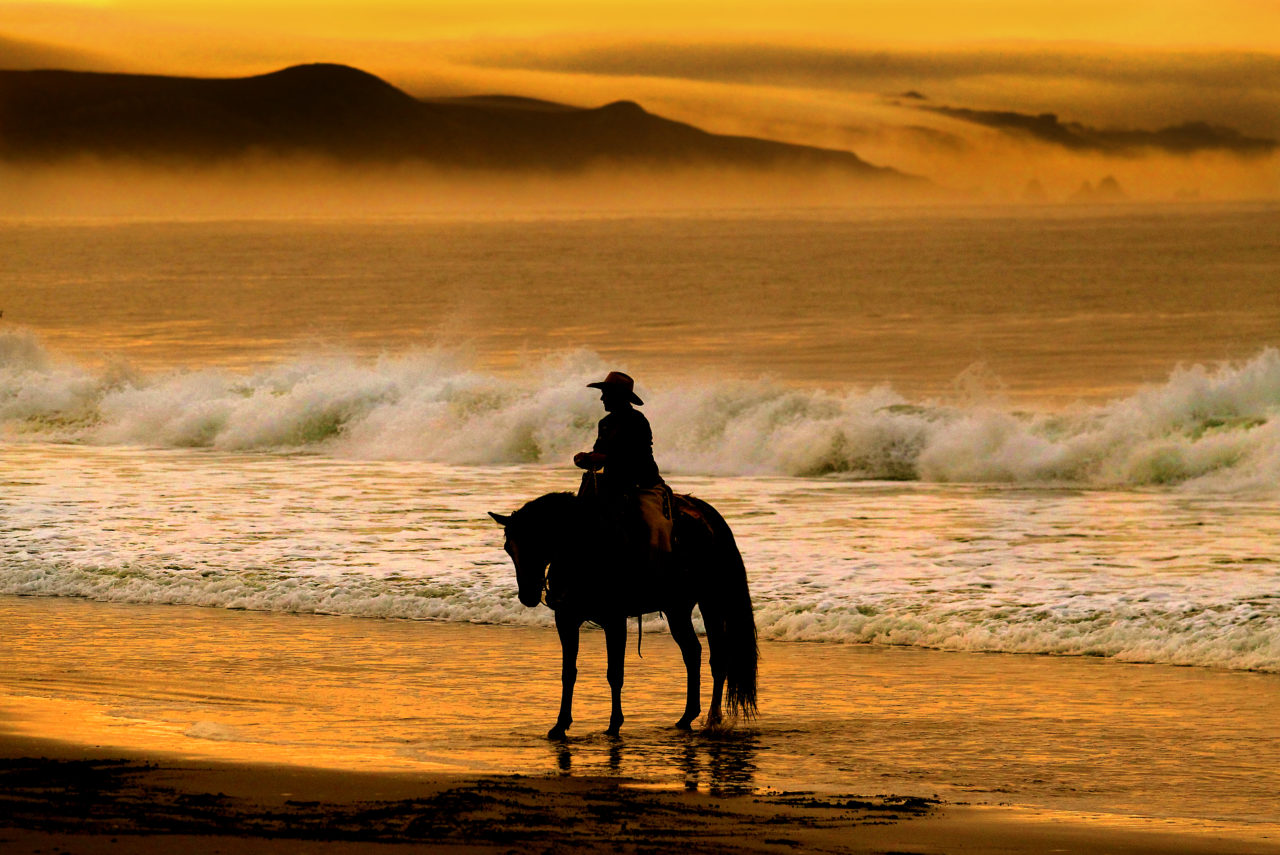 Eddy Ann Filipini of Battle Mountain, Nevada, waits in the surf at Doran Beach for the start of a horse relay ride across the United States to protest grazing rights in her state. (John Burgess/The Press Democrat)