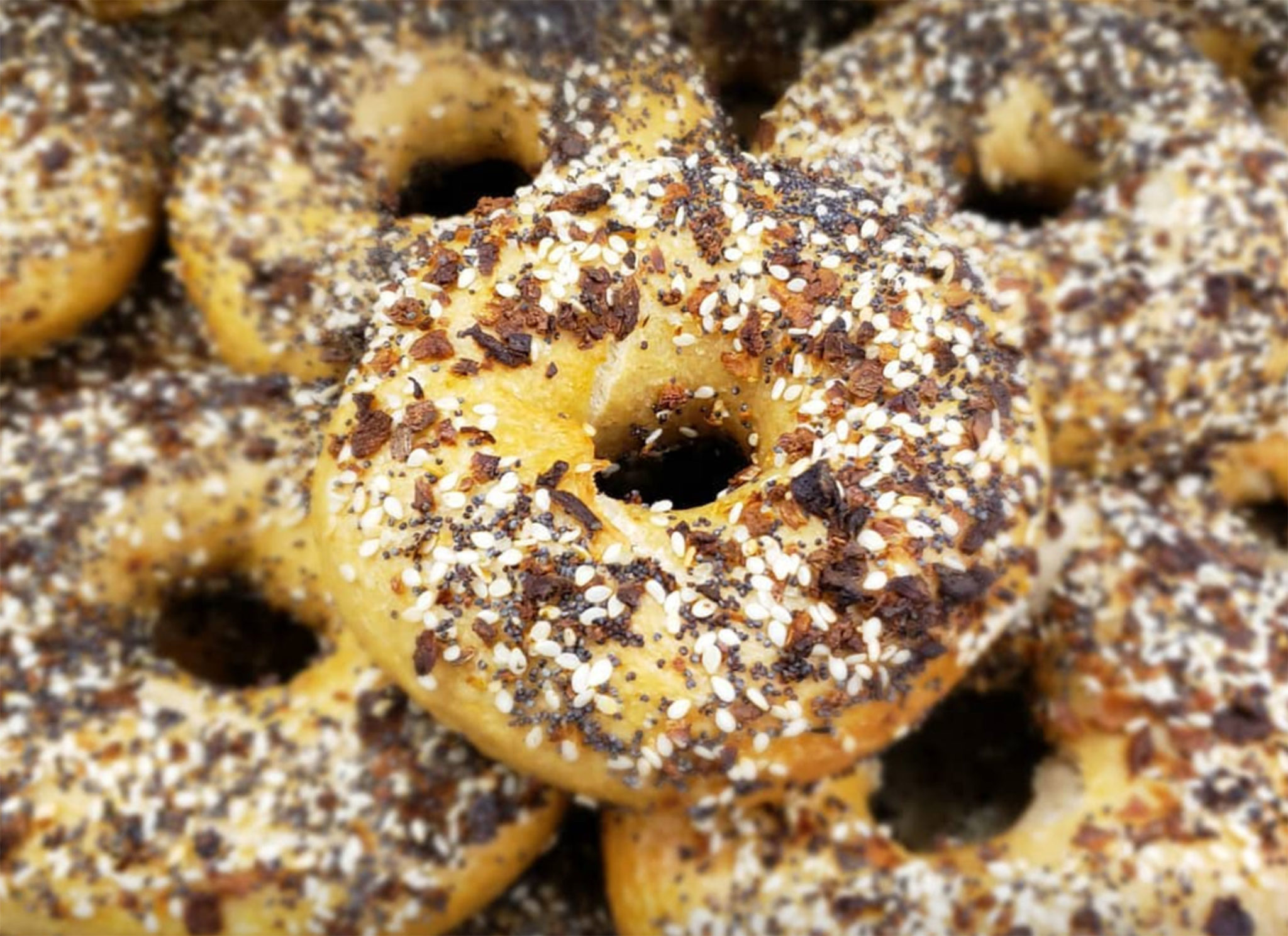 Everything bagels at the Bagel Mill in Petaluma. Facebook.