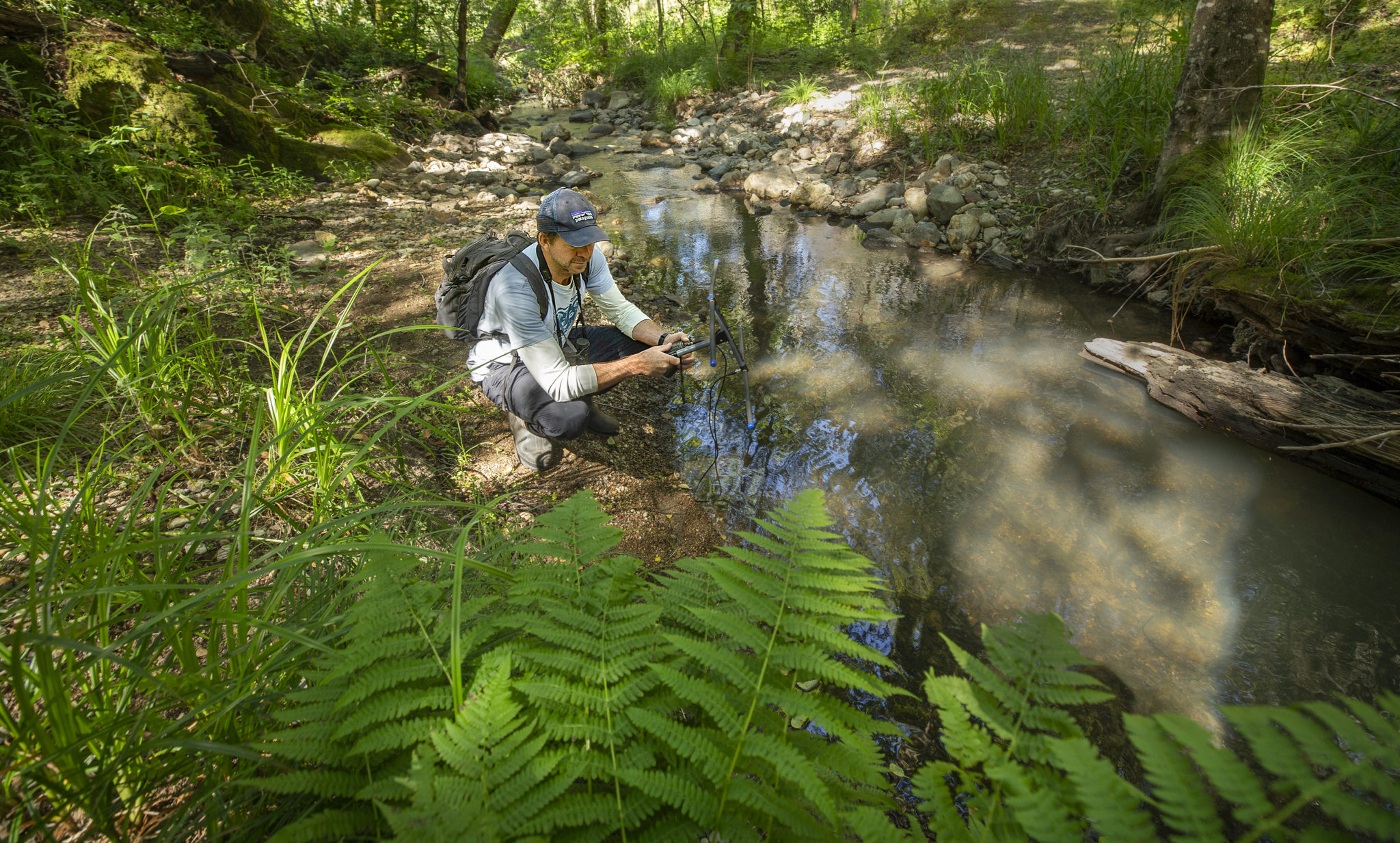 South African native Quinton Martins looks for mountain lion tracks while following a mountain lion in the hills above the Sonoma Valley. (John Burgess)