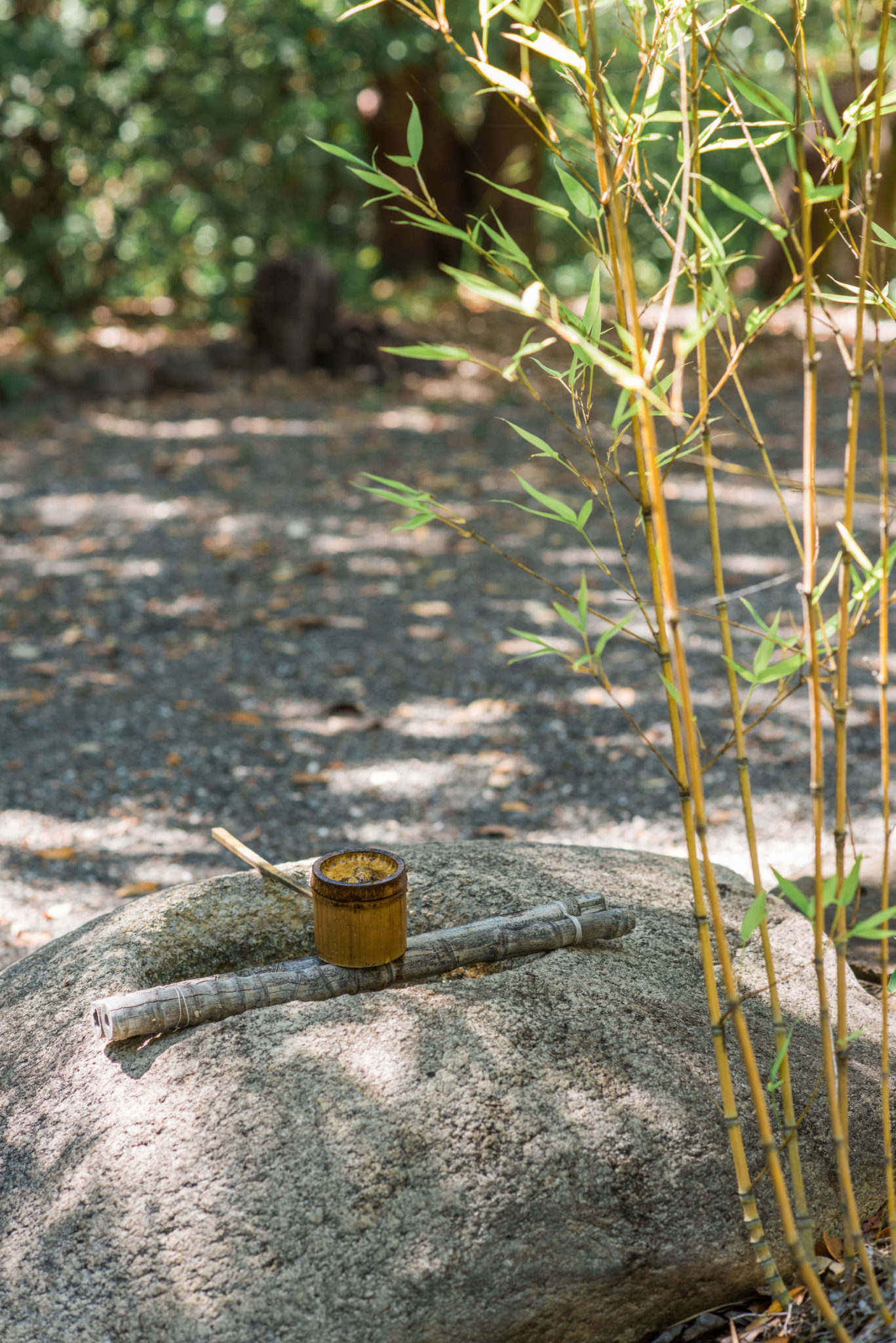 The Suzuki stupa near the fire line.